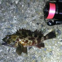 淡路島メバリング