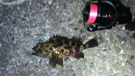 淡路島メバリング