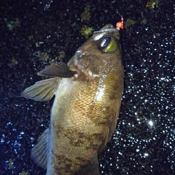 様子がおかしい