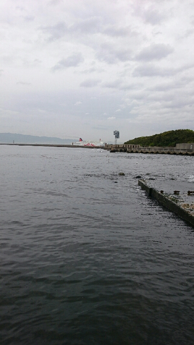 雨天前にシーバス