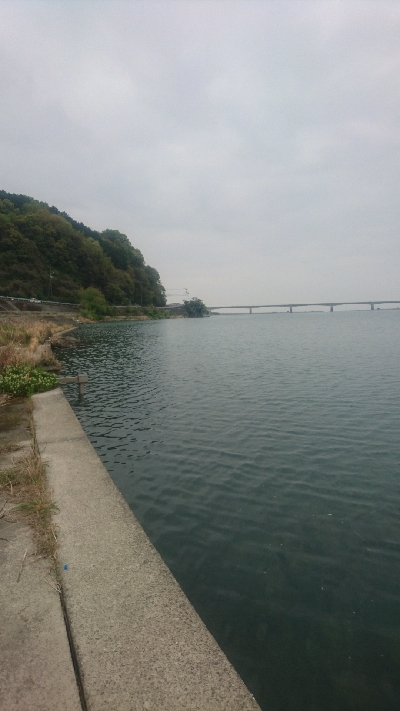 仁淀川河口チニング