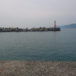 ショアジギング ヒラメ