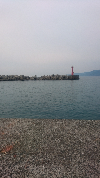 ショアジギング ヒラメ