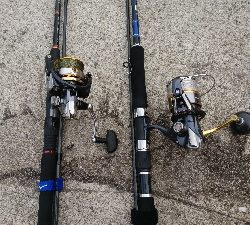 エソフィーバー