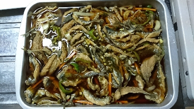 小サバ大漁！！