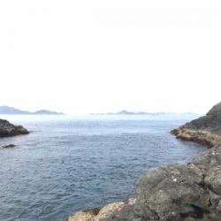 御五神島 沖磯グレ