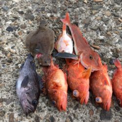 マイボートでタイラバ、ジギング