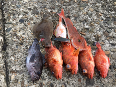 マイボートでタイラバ、ジギング