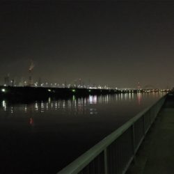 癒しのチニング