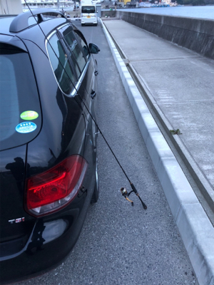 ライトゲーム良き！