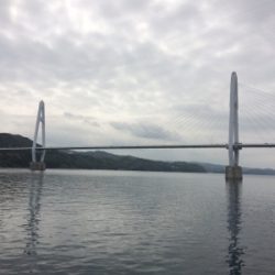 大島でエギング