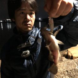 ナイトプラッキングゲーム♪GUNNING-STYLE