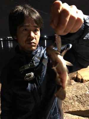 ナイトプラッキングゲーム♪GUNNING-STYLE