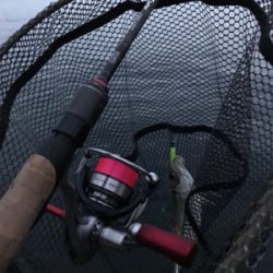 またもやポイント一人勝ち(笑)(釣行 其の拾六)