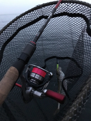 またもやポイント一人勝ち(笑)(釣行 其の拾六)