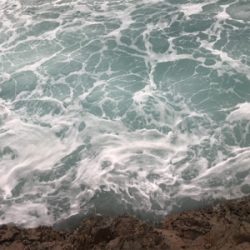 久々にヒラスズキ