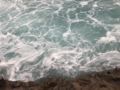 久々にヒラスズキ