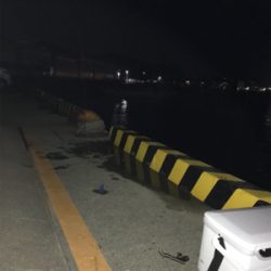 ジャボならずアジ1匹