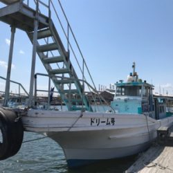 エビ撒き 好釣‼︎