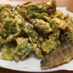 今年初の渓流釣り