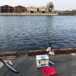 連日釣行を堪能‼︎