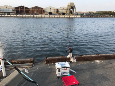 連日釣行を堪能‼︎