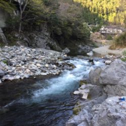 今年は小さい？