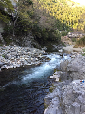 今年は小さい？