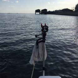 雨上がりの昼下がり