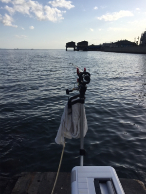 雨上がりの昼下がり