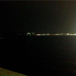 鯵の気配はするものの