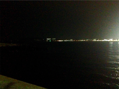 鯵の気配はするものの