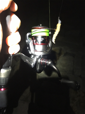 淀川ブリームゲーム ボラボラボラ