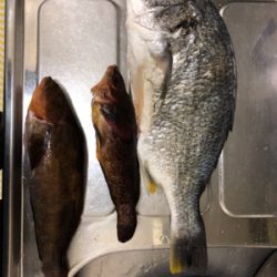 久々にちゃんと投げ釣り