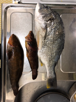 久々にちゃんと投げ釣り