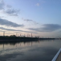 キビレは裏切らない