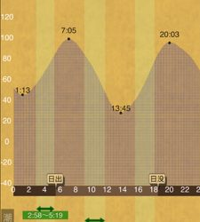 久々のメバルリング釣果
