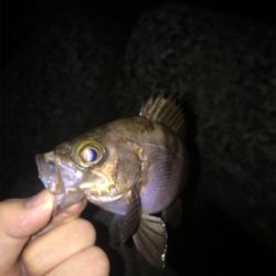 バチパターンメバリング！