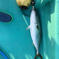 スロージギング