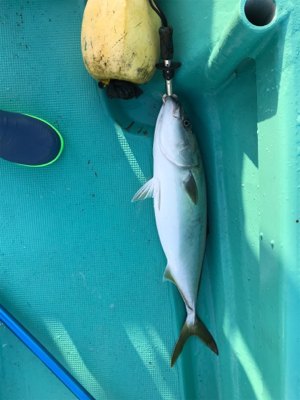 スロージギング