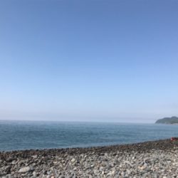 うまいの釣れた