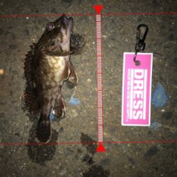 激シブの翌日はまぁまぁ