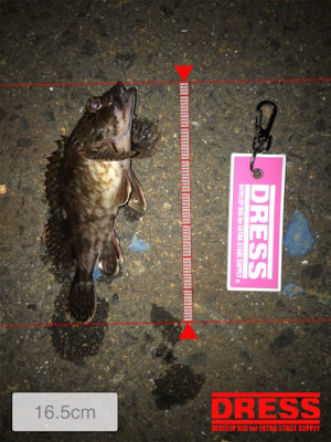 激シブの翌日はまぁまぁ