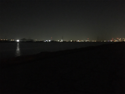 今期 初シーバス