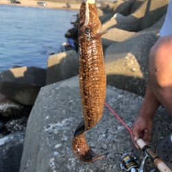フラッと穴釣り、カサゴ狙い