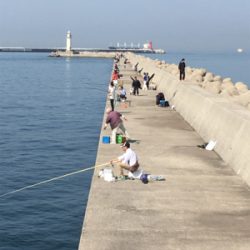 なぜかヒラメが〜〜