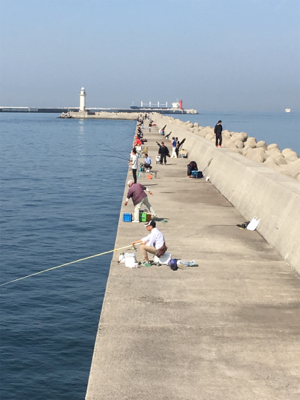 なぜかヒラメが〜〜