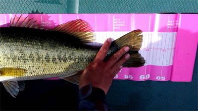 社内対抗バス釣り大会