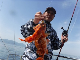 丹後沖タイラバ釣行byルアー船GINGA