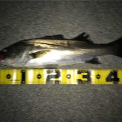 四日市港周辺運河